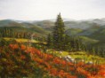 /album/galeria-krajiny/a2010-mountain-view-aa-jpg2/